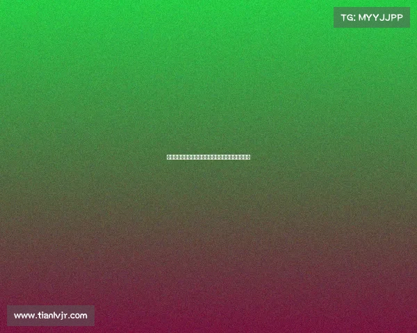 北京控股主场赛事燃爆京城球迷齐聚激情共享荣耀时刻