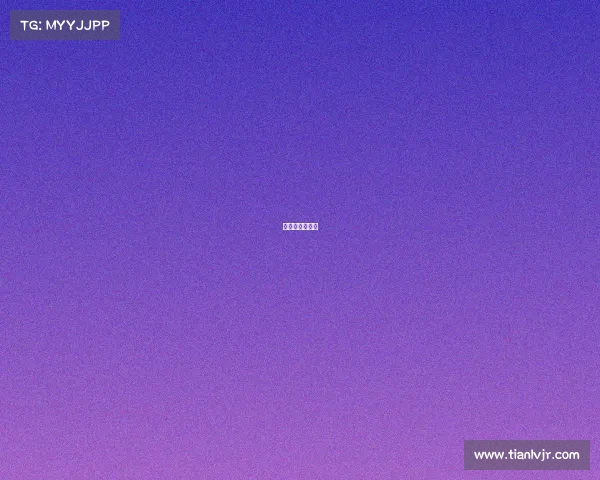 定向赛游戏项目