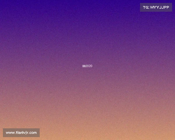 巅峰2020 巅峰2020