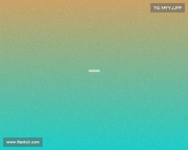 球探网完整比分