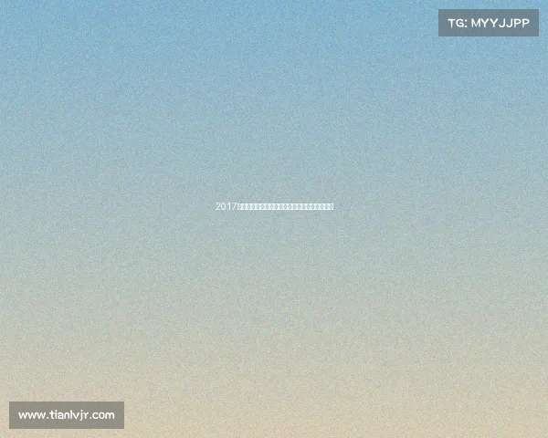 2017沈阳赛事激情燃烧现场观战体验与珍贵记忆回顾